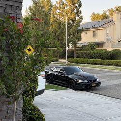 2001 Mustang Cobra 