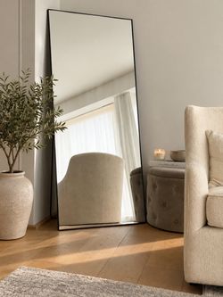 Full-Length Floor Mirror Black Thin Frame
