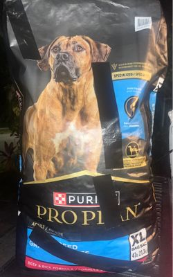 Dog food
