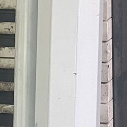 Wall Proyector Screen 