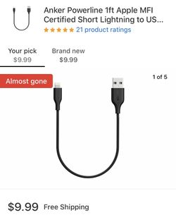iPhone cable 1ft