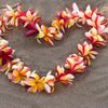 Aloha2Melody 