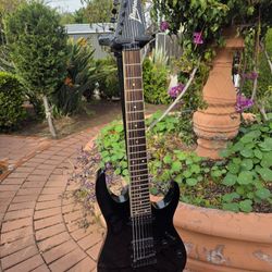 Ibanez RG7421 7 String Electric Guitar 