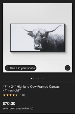 47' × 24" Highland Cow Framed Canvas