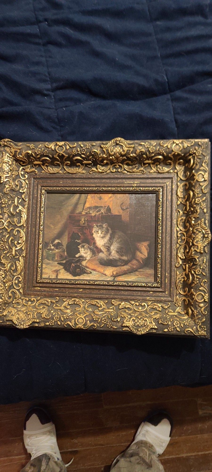 CAT END BOX  END GOOD MODER CATS PICTURES  24 X24 ORIGINAL  