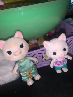 Honey bee acres cats