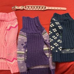 X’s Dog Clothes For Chihuahua’s $10.00 For All