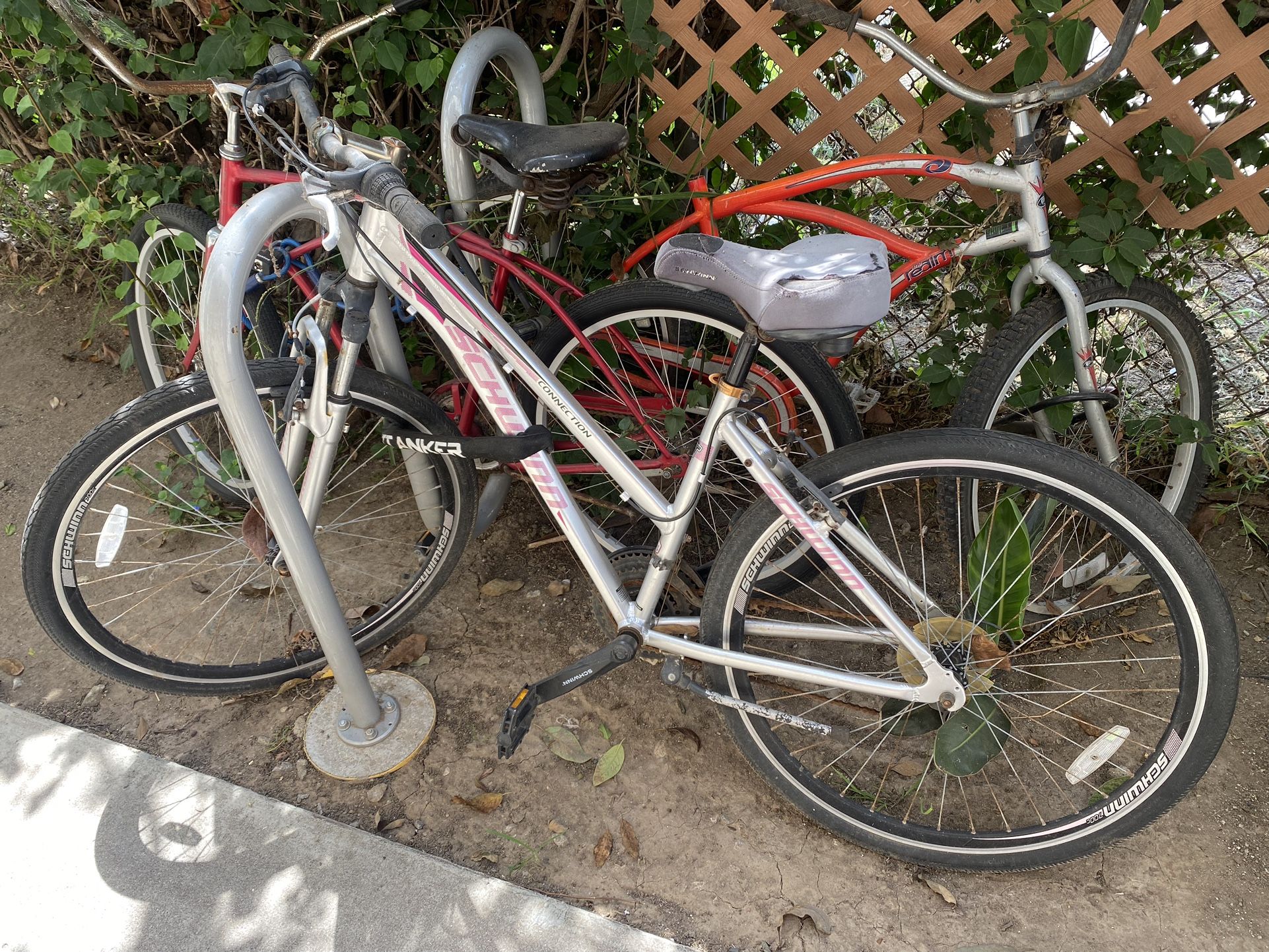 Women's Schwinn Bike