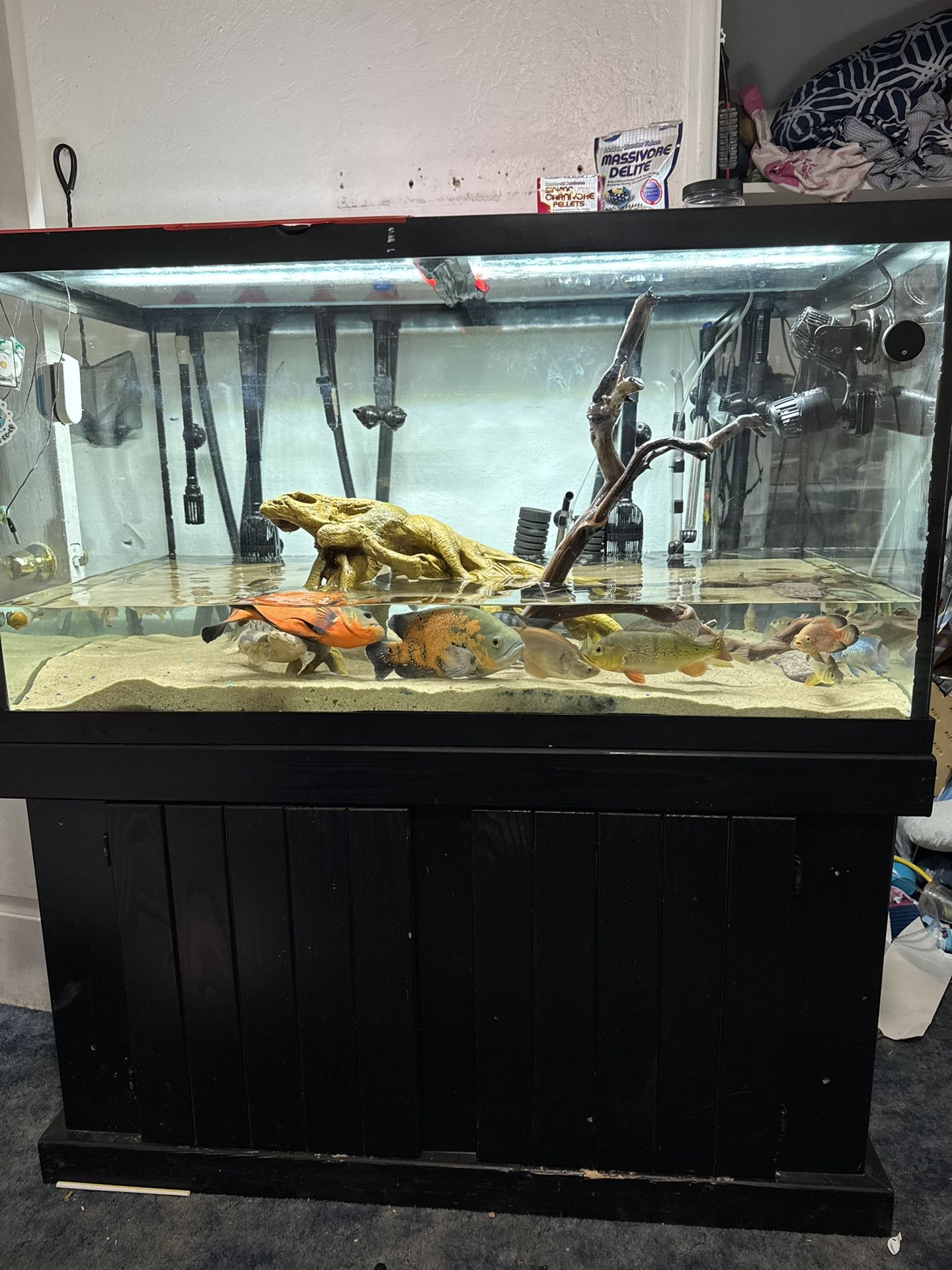 120g Tank With Stand