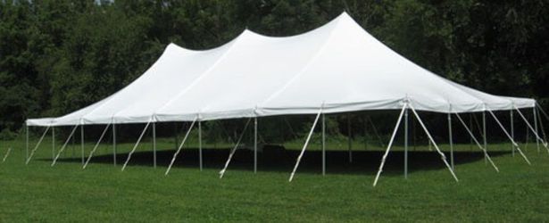 40×80 White TENT