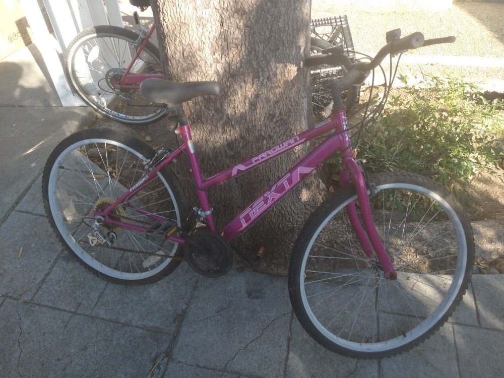 Parawan Bicycle (Purple)