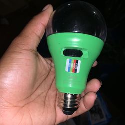 Plant Lights ( Red Light Bulb ) & ( Multicolored Light Bulb )