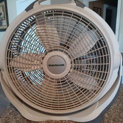 Large wind fan