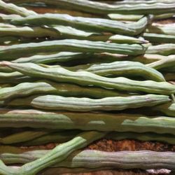 Fresh harvest: Organic Moringa : offer a price