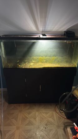 55 Gallon Tank