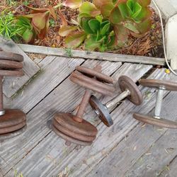 Weights And Bench 