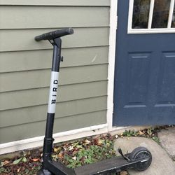 Electric Scooter (Bird Air)