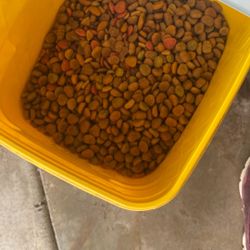 Comida Para Perrro Grande 