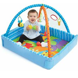 Bruin 2 in 1 Playgym -BRAND NEW in a Box