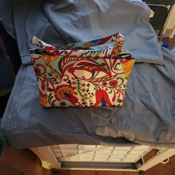 Colorful Silk Purse