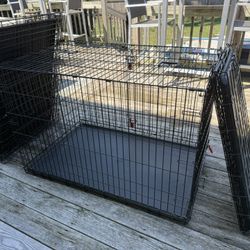 Kong Dog Crates 