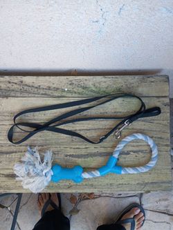 6ft Dog leash & Toy
