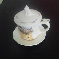 BEAUTIFUL ORANGE CAT & BLUE BIRDS CUSTOM TEA CUP 