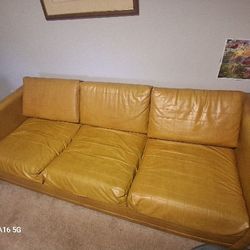 Mustard Color Couch