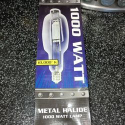 Light Bulb