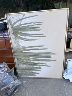 Big cactus picture