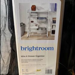 Brightroom Wire 4-Drawer Organizer