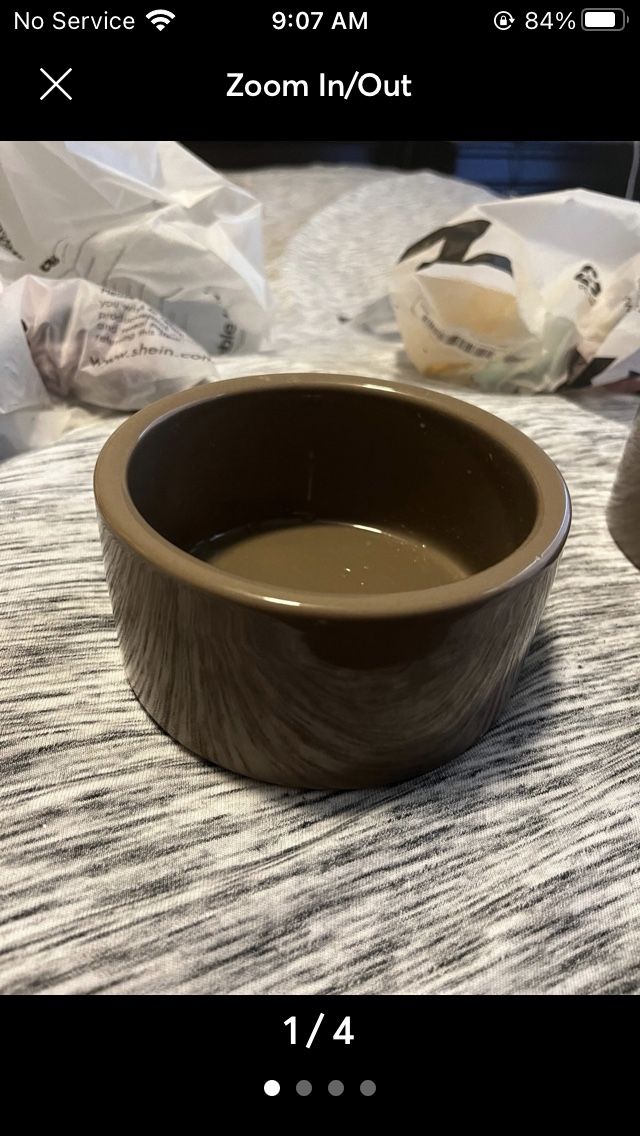 Small Animal Glass Food Bowl