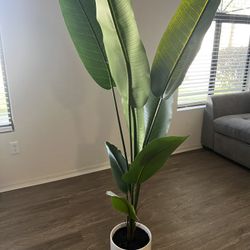 Fake Plant