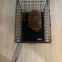 Dog Crate 
