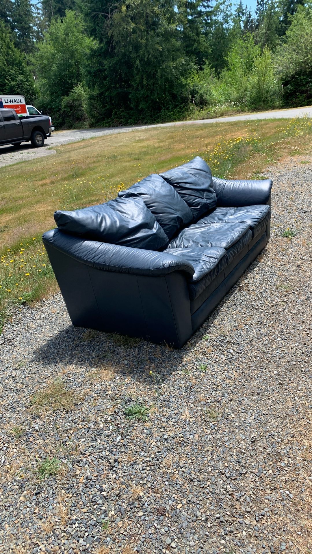 Free Blue Leather Couch
