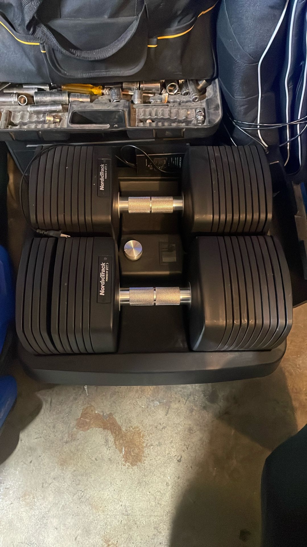 Nordic track Dumbbells 