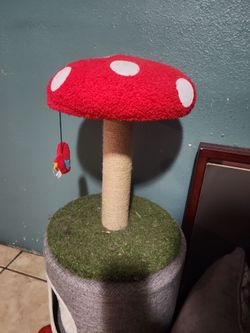 Cat scratcher