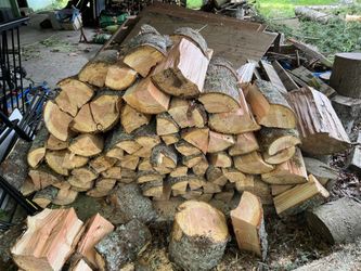 Freshly  Cut Firewood