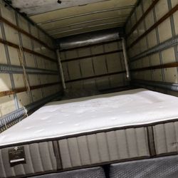 King Mattress Steransfoster 🦖