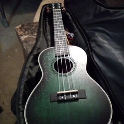 Acoustic Guitar Small