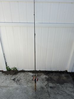 ABU GARCIA REEL WITH POLE