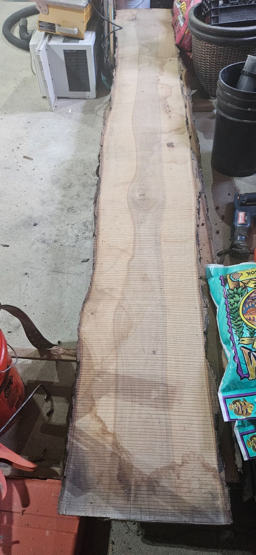 Rough Cut Live Edge Wood