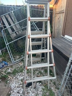 Ladder