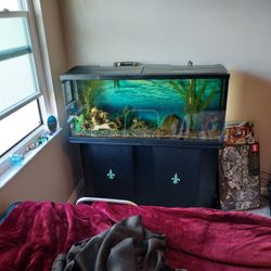 55 Gallon Aquarium Tank, Stand, And Accessories 