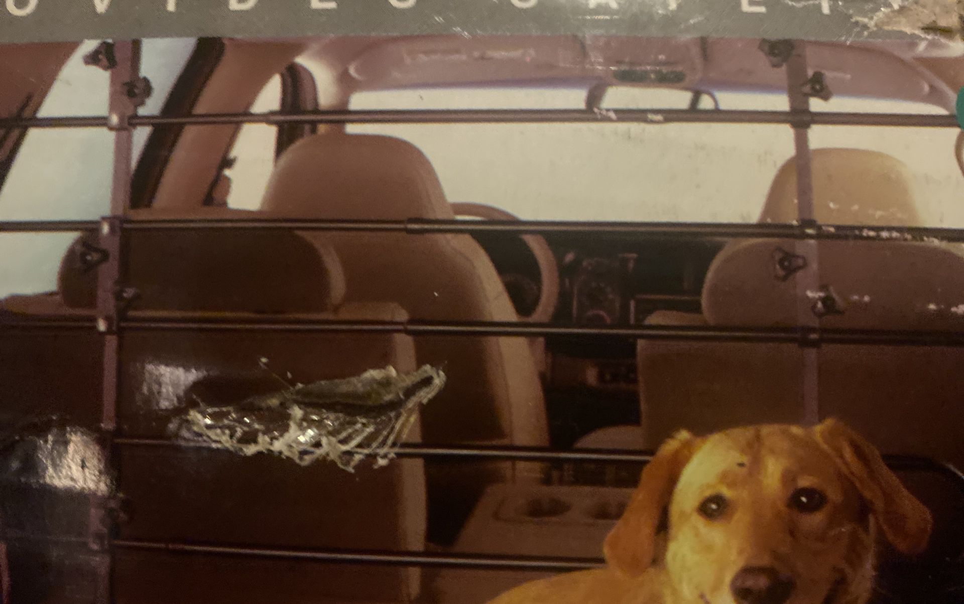Pet Barrier (Car Divider) NEW