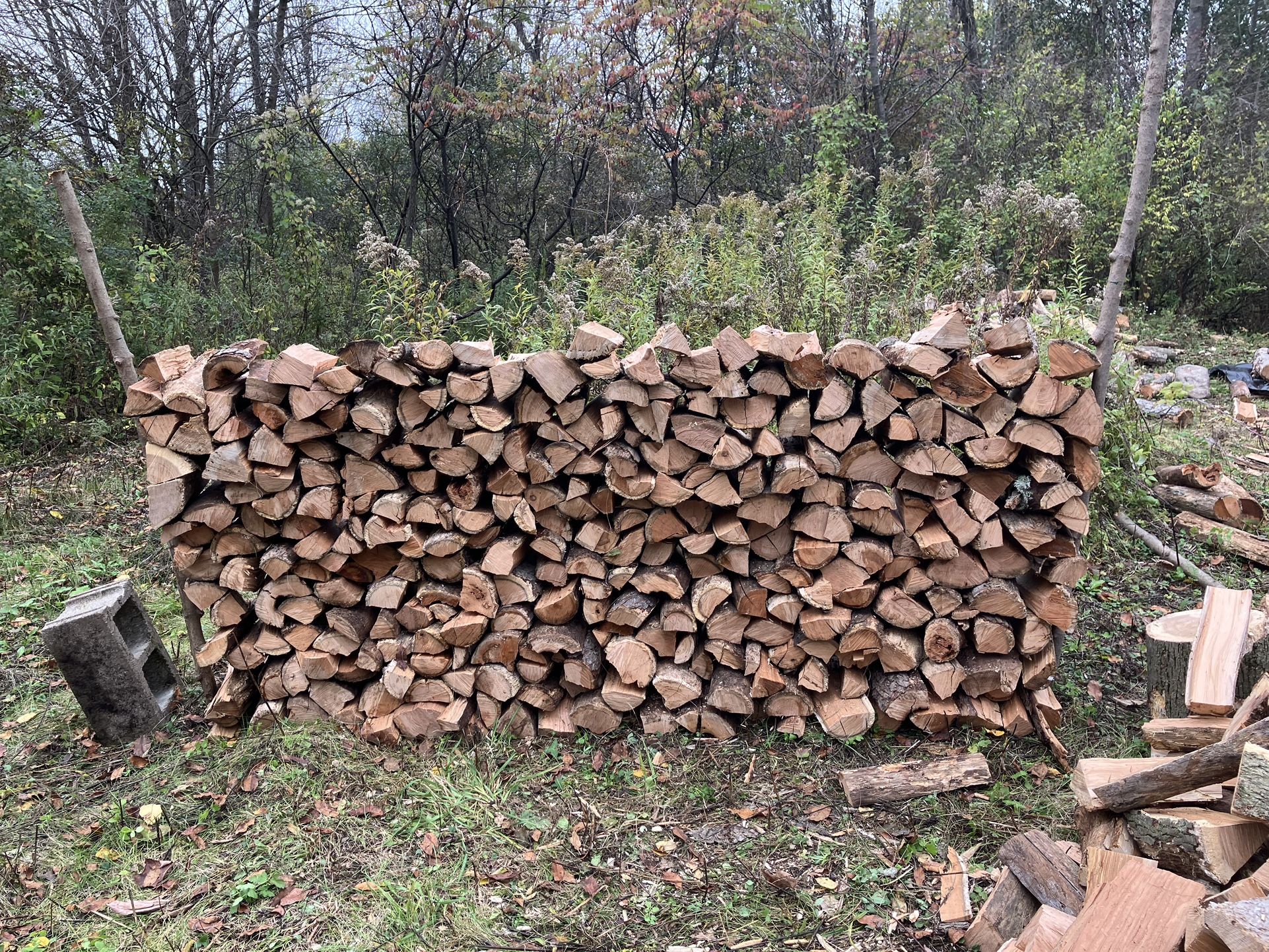 Firewood
