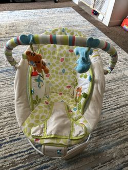 Baby Bouncer 