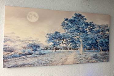 Canvas print art 1’8” x 3’ 3”
