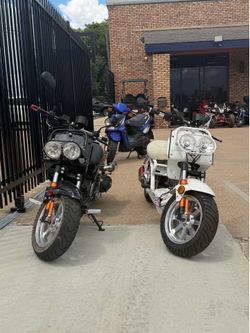 **FLASH SALE 300$ price drop ** Maddog 50cc/ 150cc for Sale
