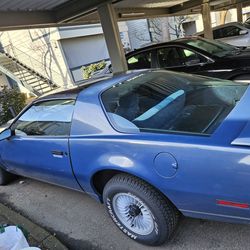 1983 Pontiac Firebird Trans Am